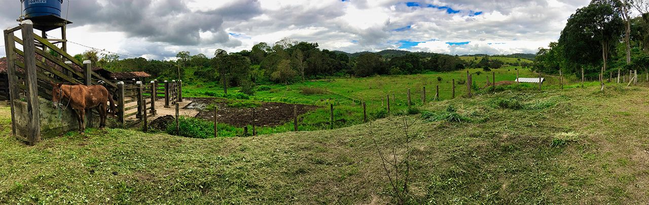 Fazenda Lagedo do Ouro