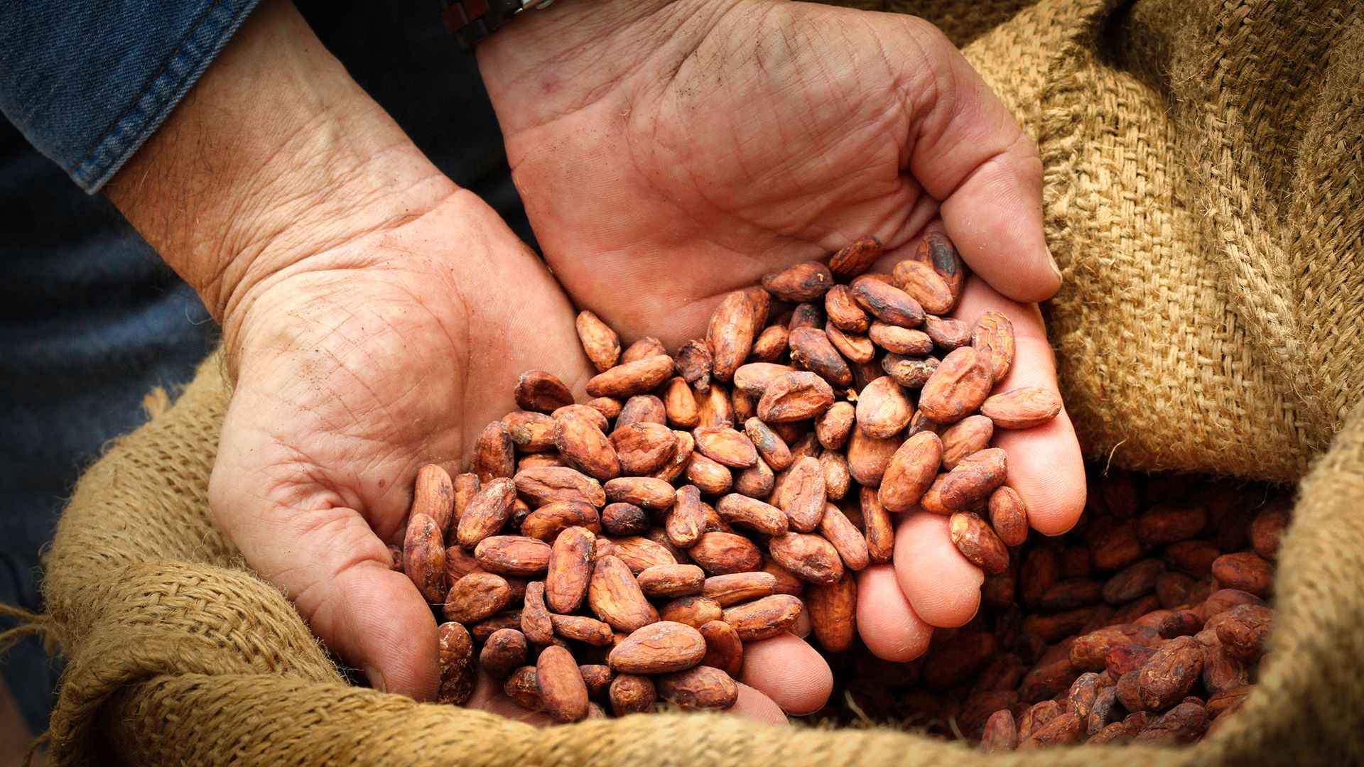 Updated: F/S – Cocoa Beans from Puerto Rico