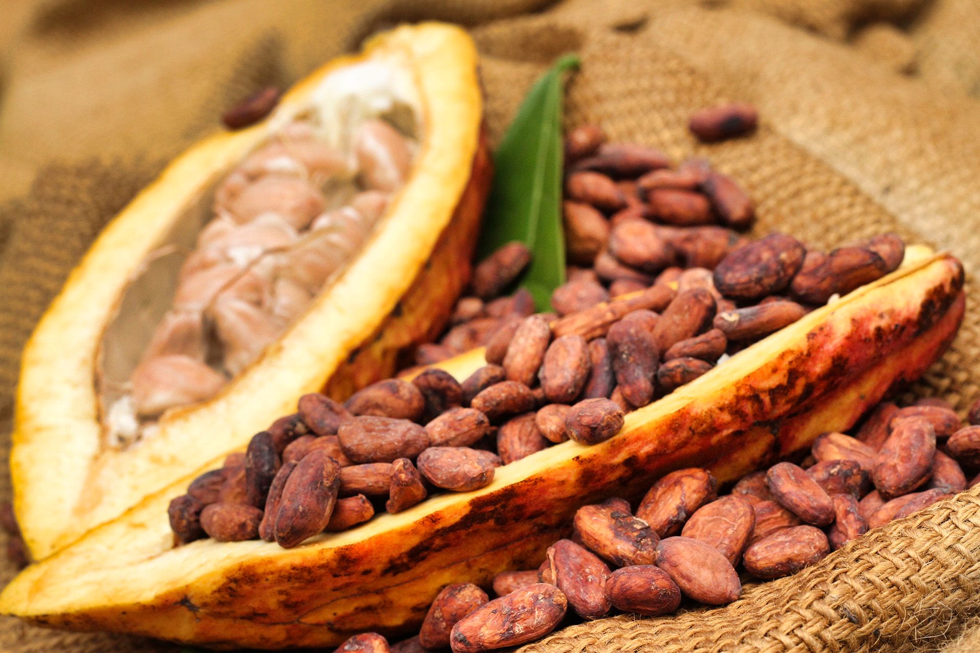 Updated: F/S – Cocoa Beans from Puerto Rico