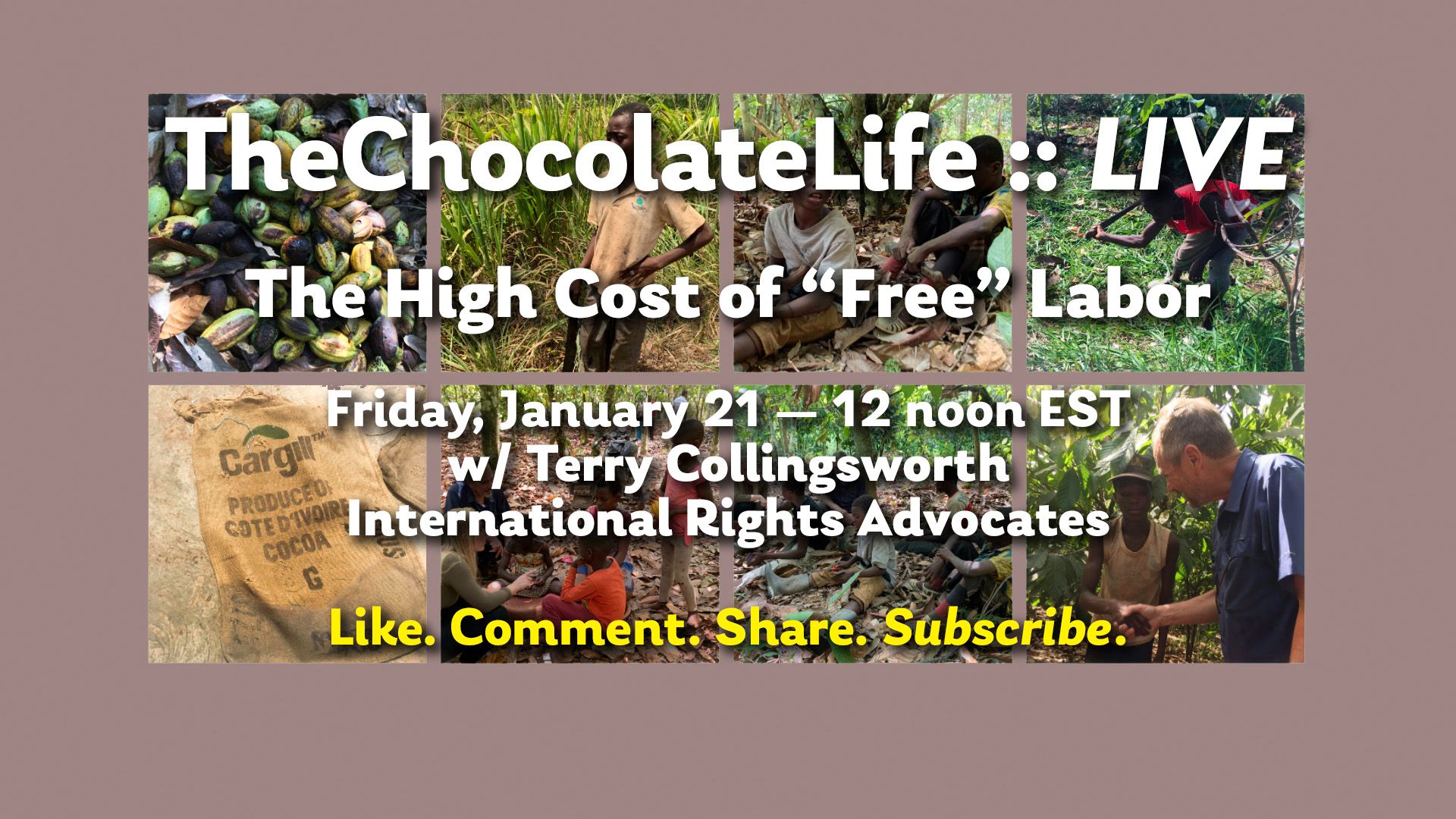TheChocolateLife :: LIVE w/ Terry Collingsworth, International Rights Advocates