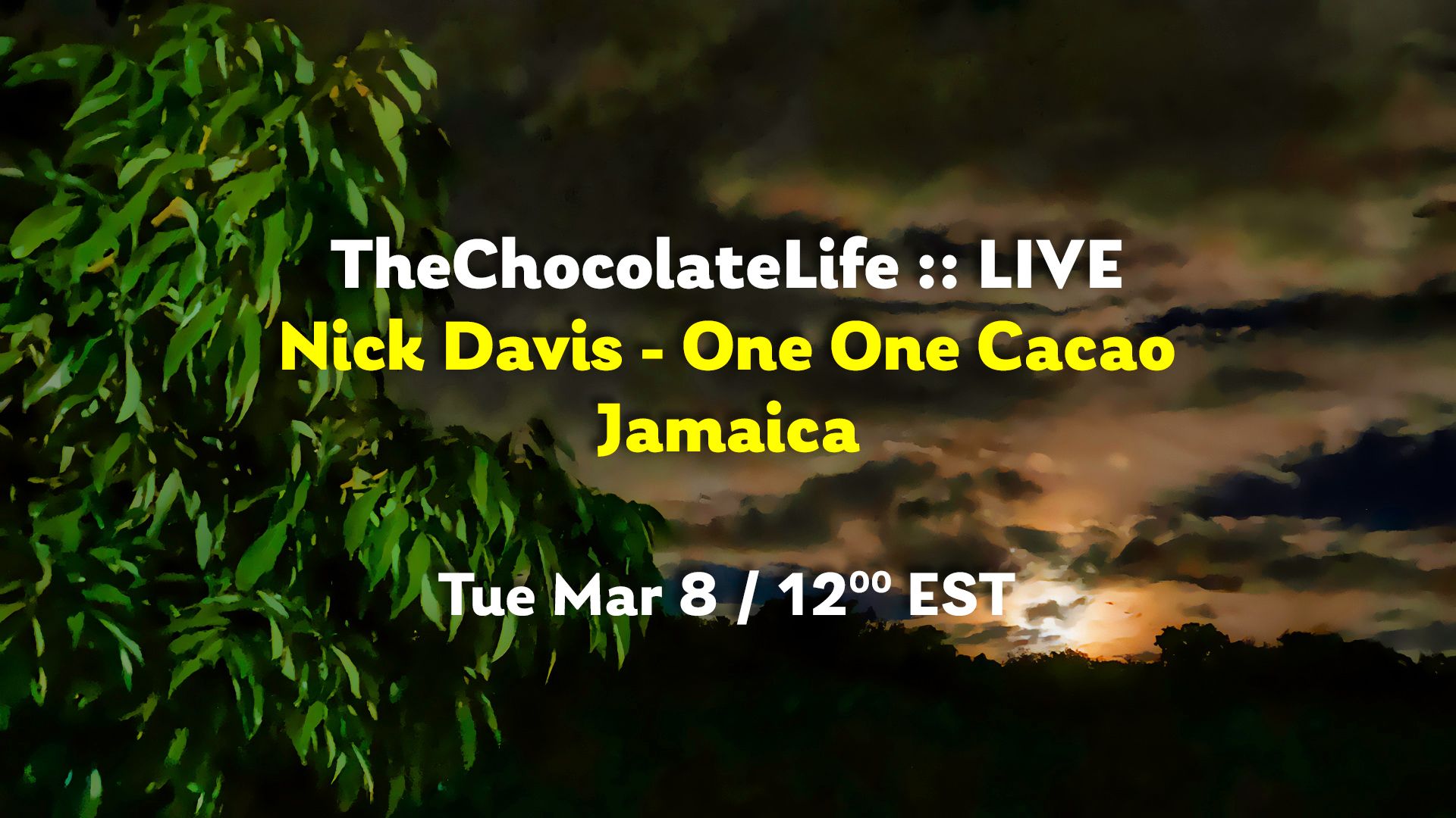 TheChocolateLife :: LIVE – Nick Davis, One One Cacao, Jamaica