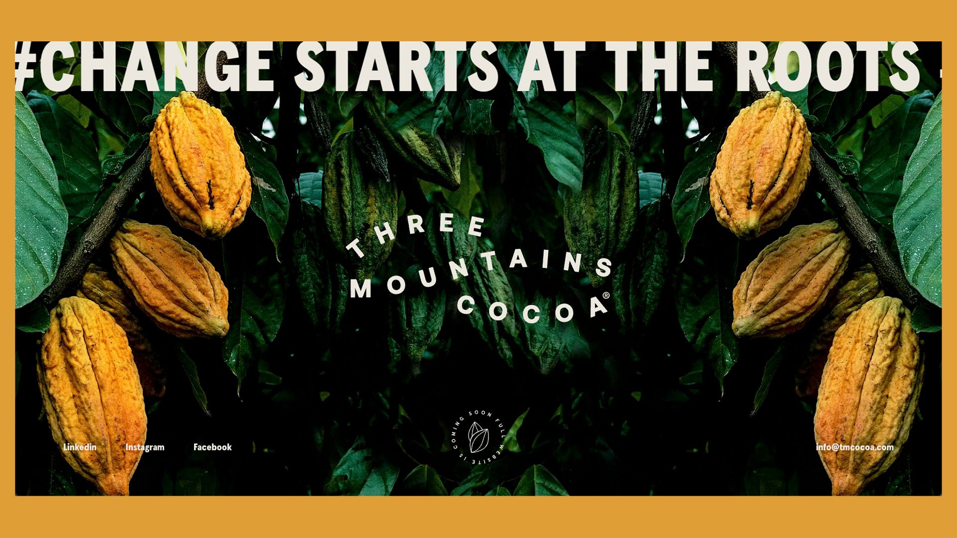 TheChocolateLife::LIVE – Leslie Agyare / Three Mountains Cocoa
