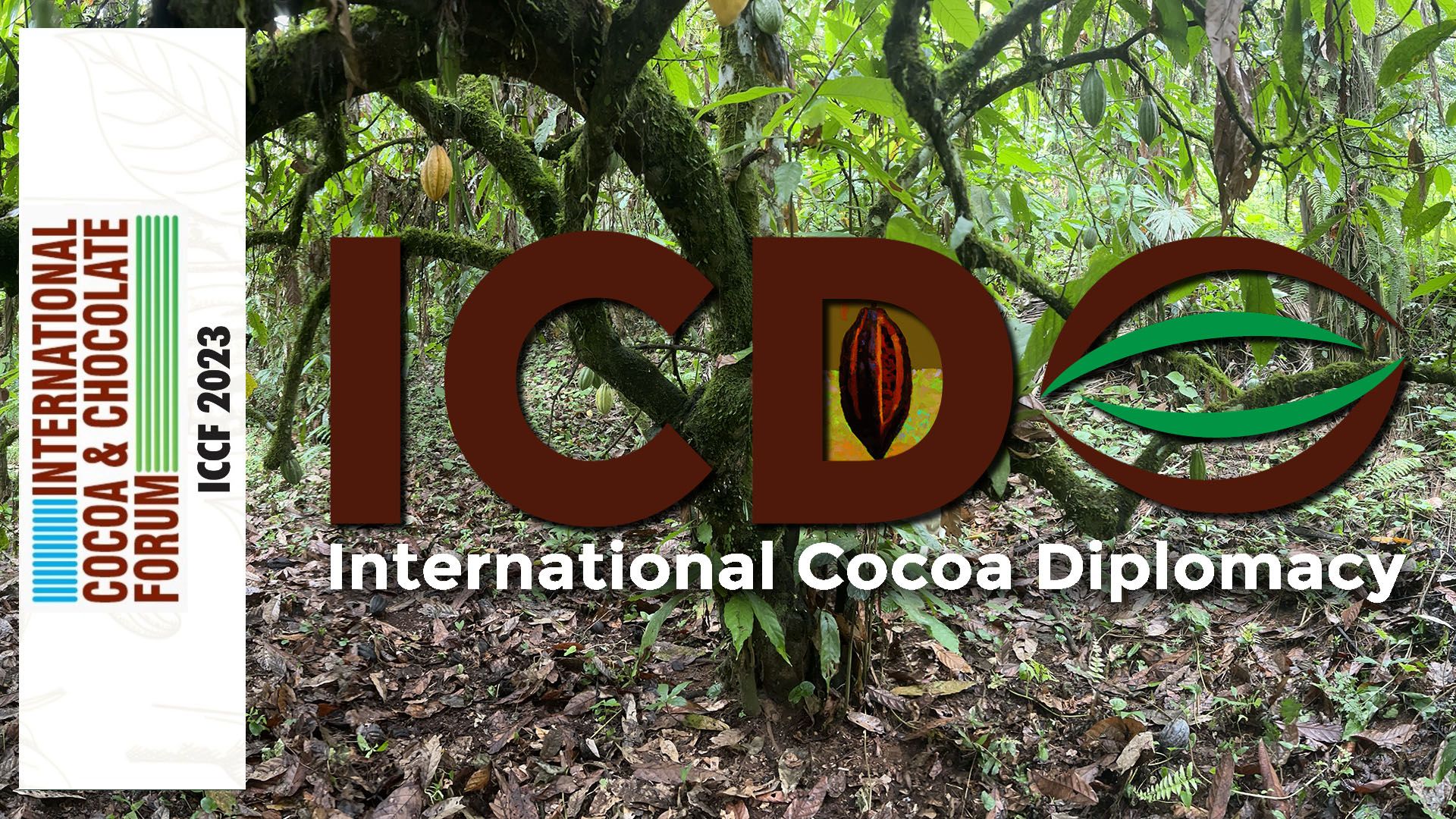 TCL LIVE | The Int’l Cocoa & Chocolate Forum