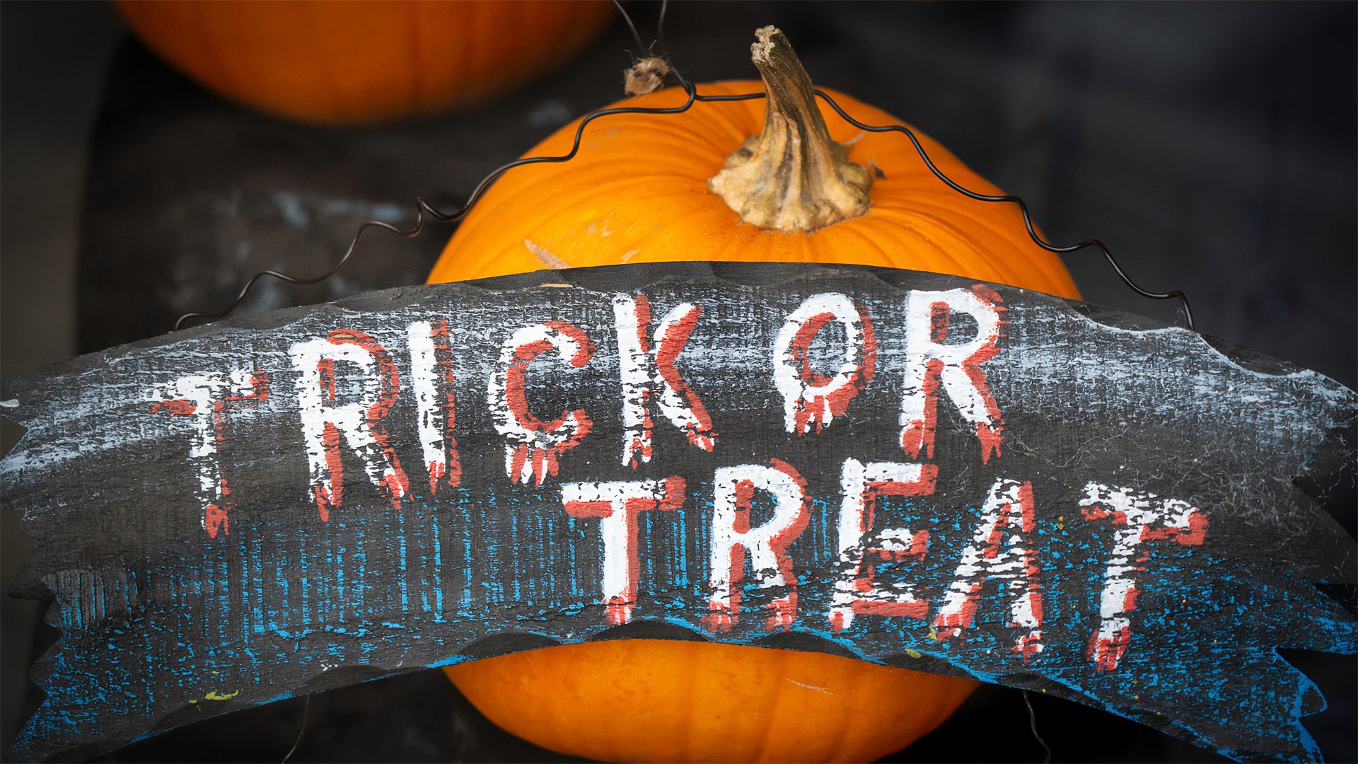 TCL LIVE | Halloween Chocolates: Treat or Trick?