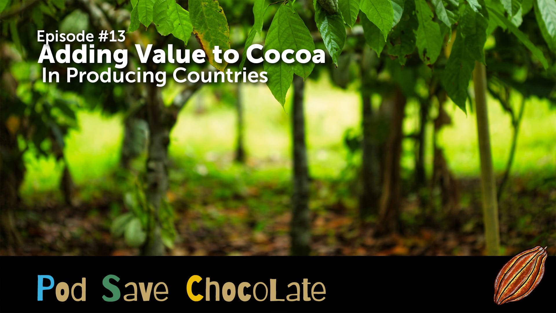Adding Value to Cocoa in Producing Countries | #PodSaveChocolate