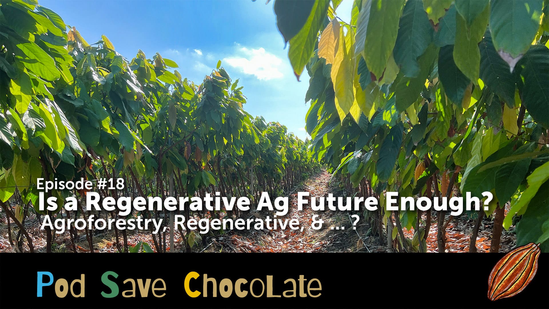 Is A Regenerative Ag Future Enough? | #PodSaveChocolate