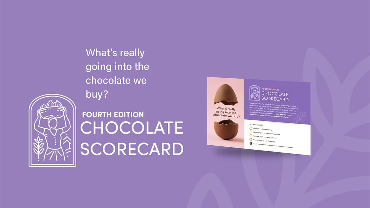 The 2024 Chocolate Scorecard | #PodSaveChocolate