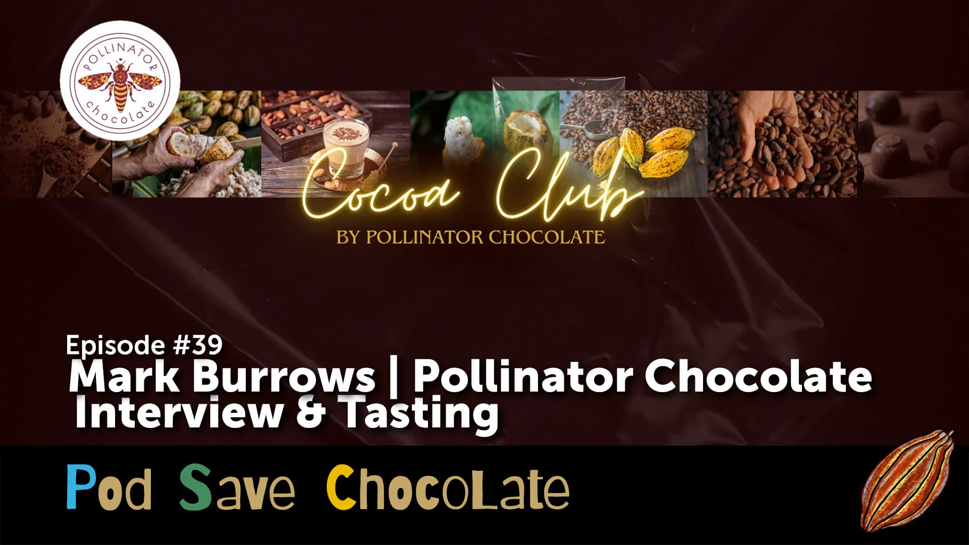 Interview & Tasting: Mark Burrows Pollinator Chocolate | #PodSaveChocolate