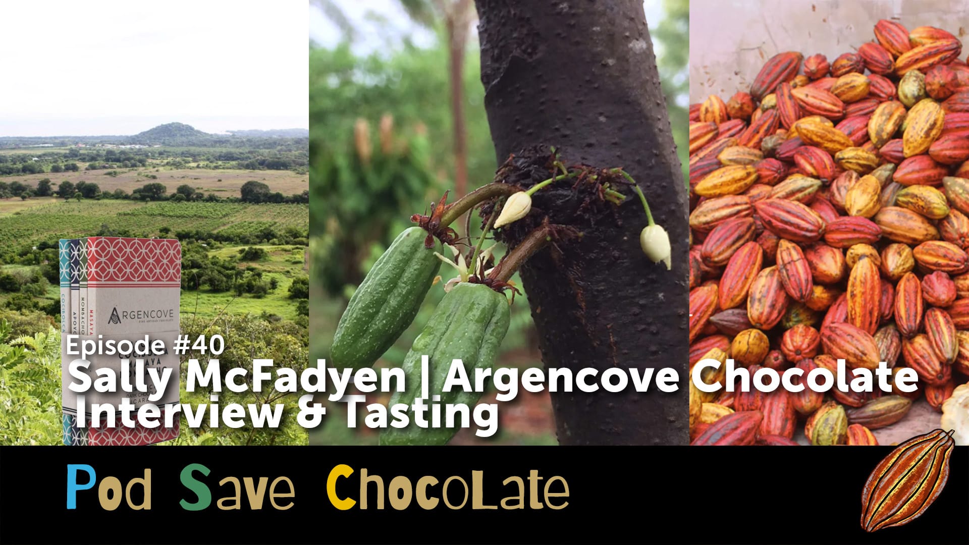 Interview & Tasting: Sally McFadyen of Argencove | #PodSaveChocolate