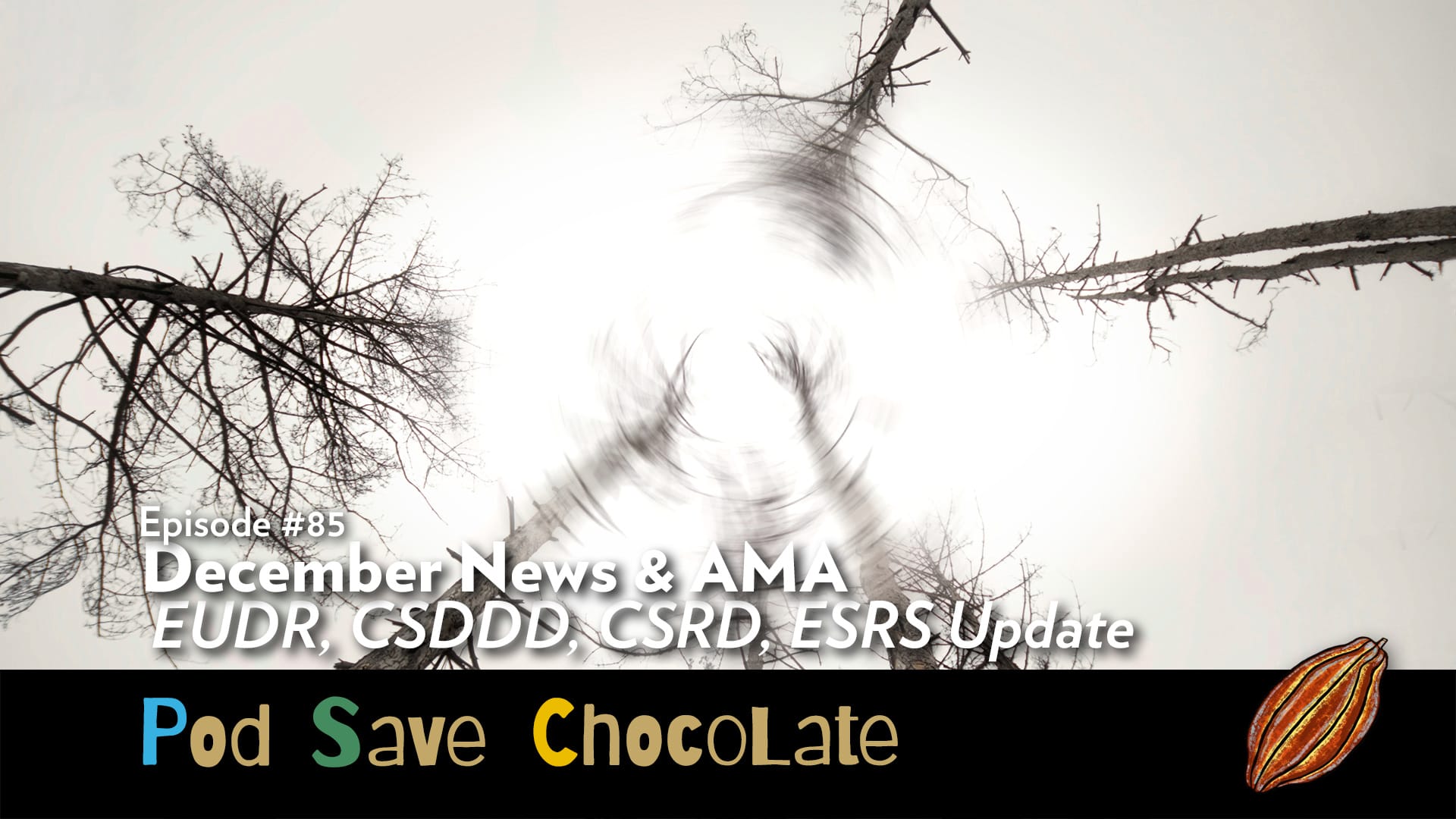 December News/AMA – EUDR et al Update | #PodSaveChocolate Ep85