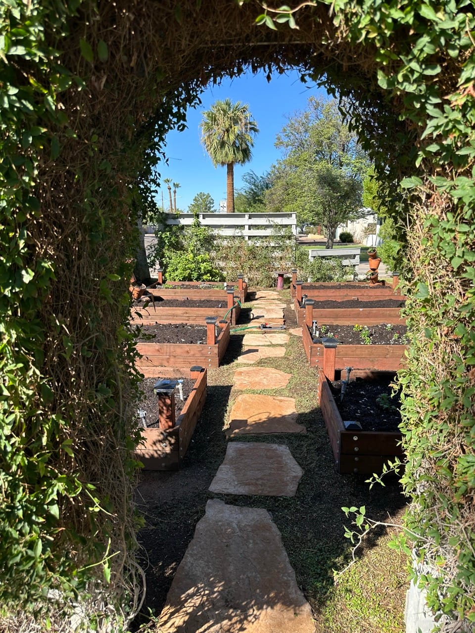 Interview &Tasting: Tandy Peterson, Embers Chocolate | #PodSaveChocolate Ep 156