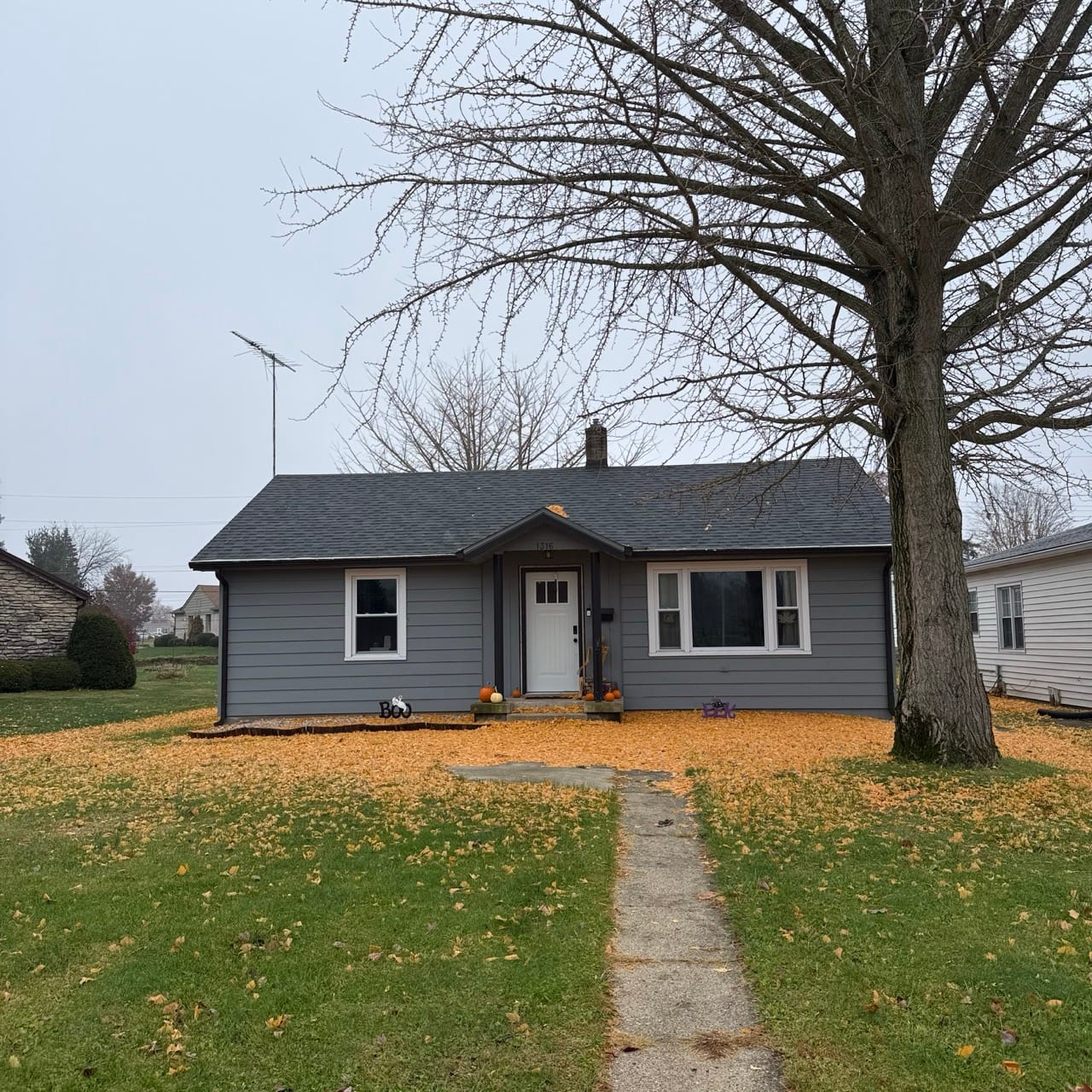 2025 Midwest Craft Chocolate Festival Roundup | #PSC 164