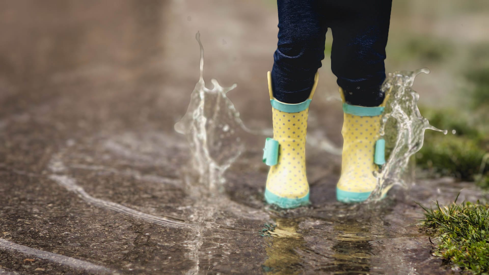 April 2026 Member Newsletter