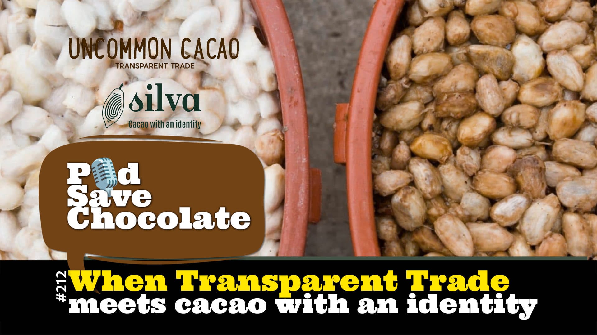 When Transparent Trade Meets Cacao With an Identity | #PSC 212