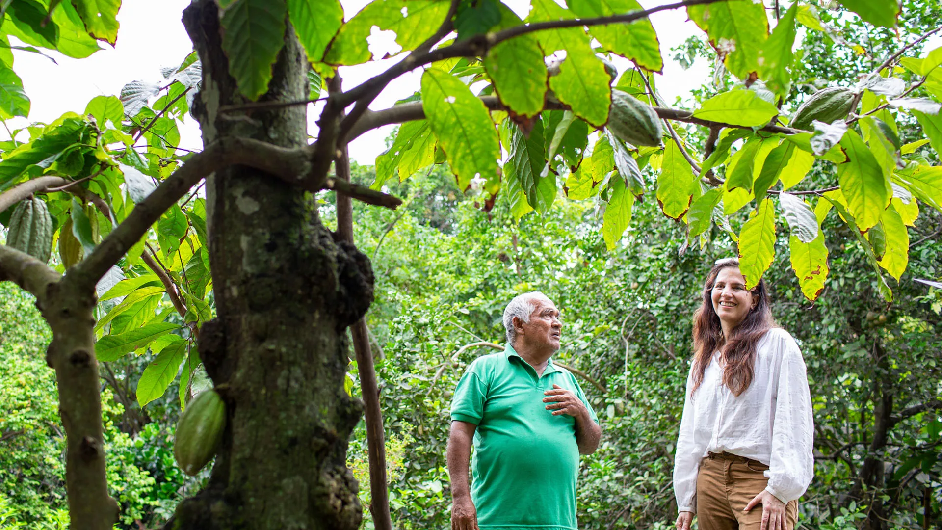 Cocoa Supply – Member Profile