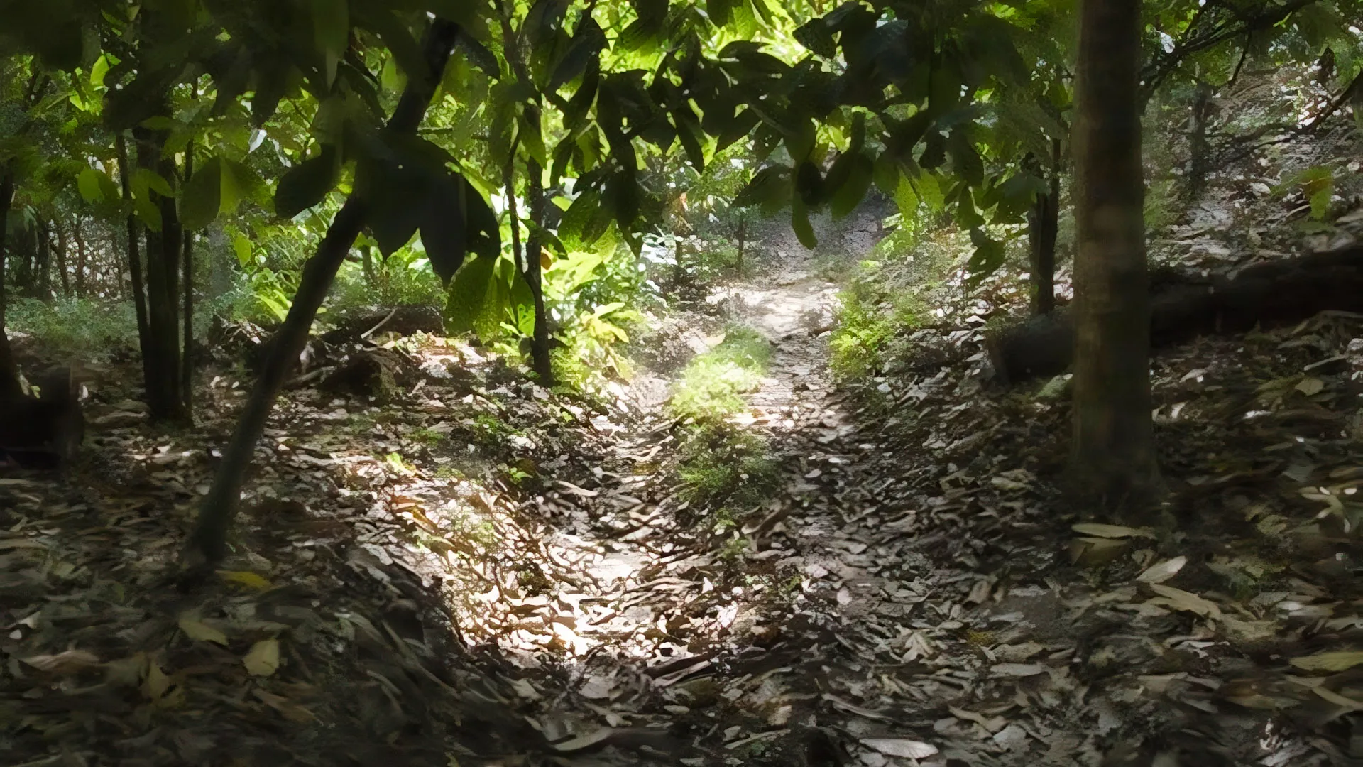 January 2026 Member Newsletter