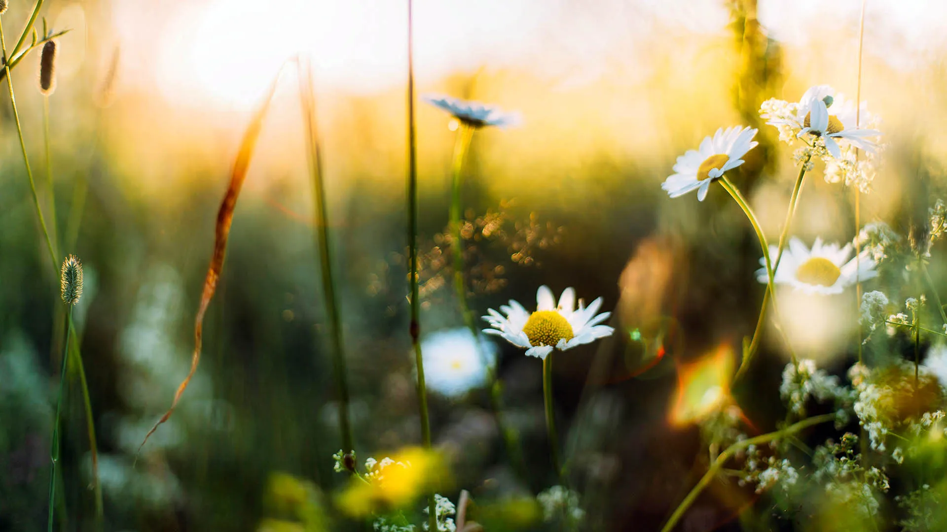 March 2026 Member Newsletter