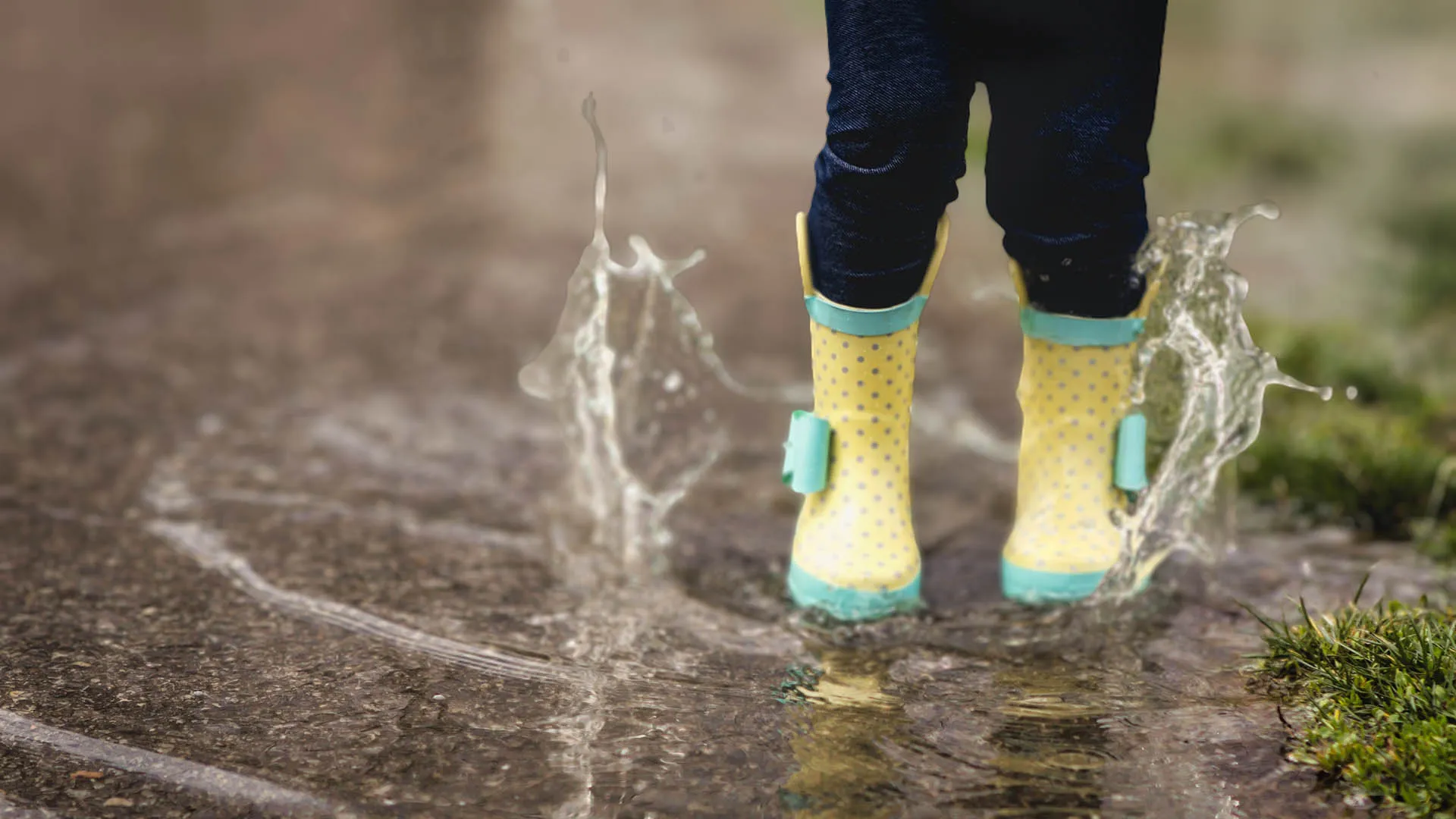 April 2026 Member Newsletter