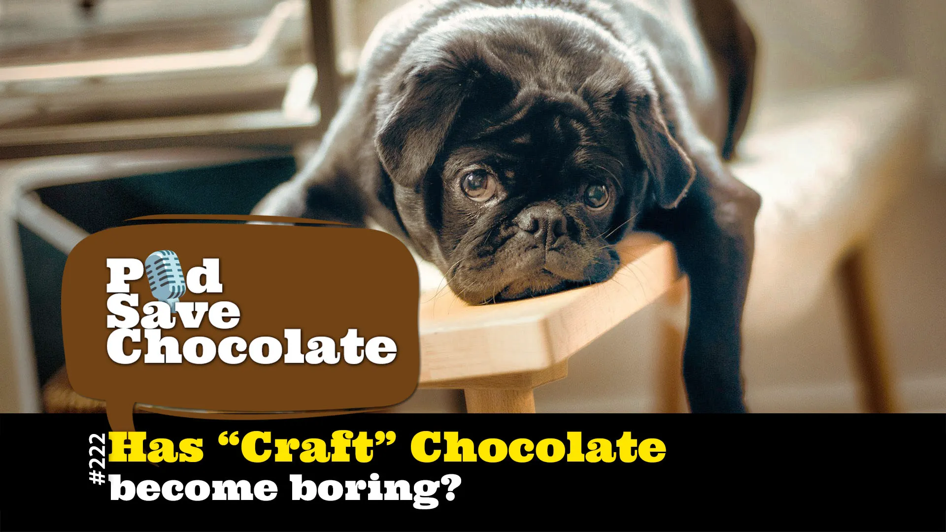 Has Craft Chocolate Become Boring? | #PSC 222