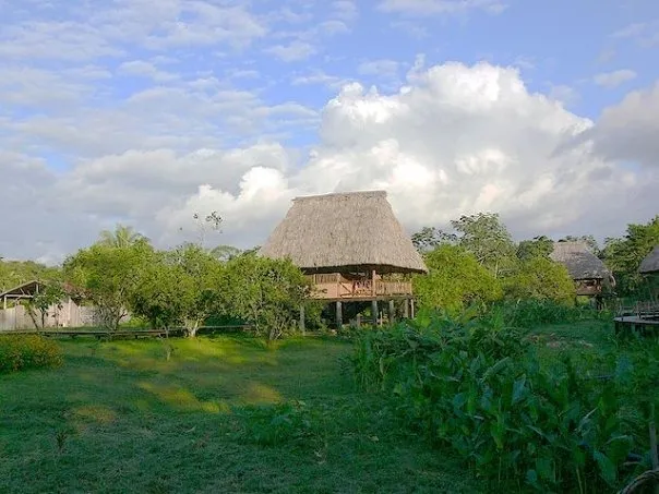 Return to Belize: Cocoa and Chocolate Eco-tour