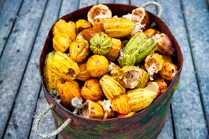 Flashback: Belize 2010 Photoblog