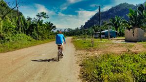 Lima Beans and Cacao Pods