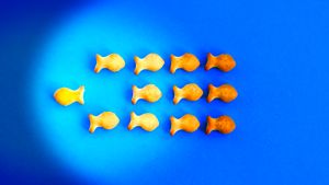 Updated! TheChocolateLife::LIVE – Innovation Part 2: 2022 Summer Fancy Food Show Roundup