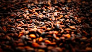 F/S – Organic + Conventional Beans & Derivatives