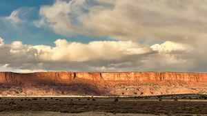 April Member Newsletter