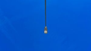 June Member Newsletter