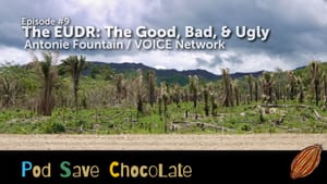 The EUDR and You – w/ Antonie Fountain | #PodSaveChocolate