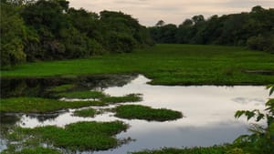 February 2024 Member Newsletter