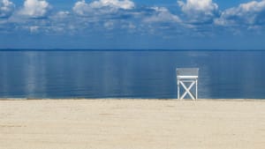 Updated: June 2024 Member Newsletter