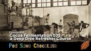 Cacao Fermentation 101 | #PodSaveChocolate Ep68