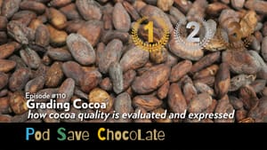 Grading Cocoa | #PodSaveChocolate Ep 110