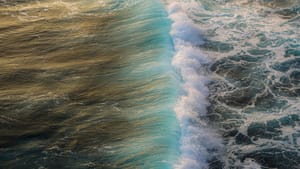 June 2025 Member Newsletter