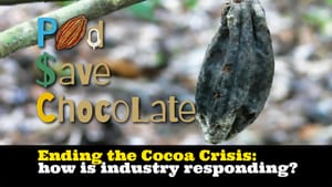 Ending the Cocoa Crisis? | #PodSaveChocolate Ep 146