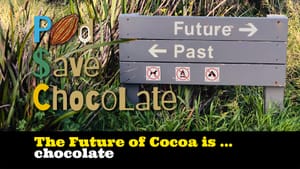 The Future of Cocoa is ... Chocolate | #PSC 163