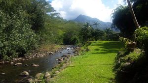 Cacao on Kauai: A Journey to the North Pole of Chocolate