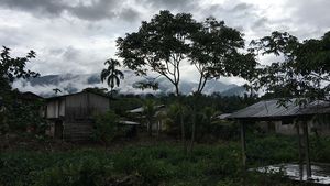 La Ruta del Cacao - Day 2