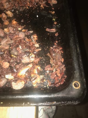 Stale beans? Or is 5 minutes sometimes too long to roast?