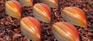 Profile: Fruition Chocolate Works