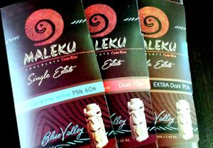 Partnership in Costa Rican Cacao and Chocolate Company