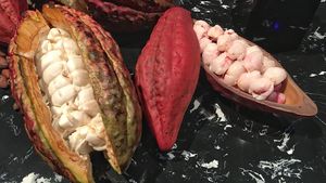 Ruby is Coming to a Store Near You Soon