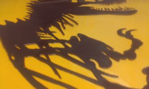 Rico's New Achievement!! Chocolate Silkscreen Printing