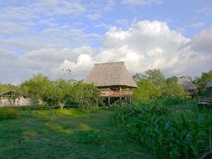 Return to Belize: Cocoa and Chocolate Eco-tour