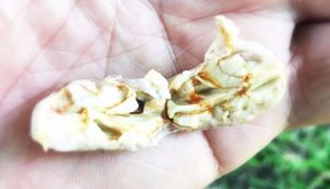 (Re)Defining Quality in Cocoa