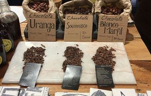 Living La Vida Cocoa in Mexico