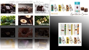 BeCocoa – Ecuador in a Box of Chocolates