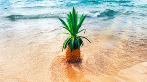 Big Island Chocolate Festival Now Rescheduled to 2021